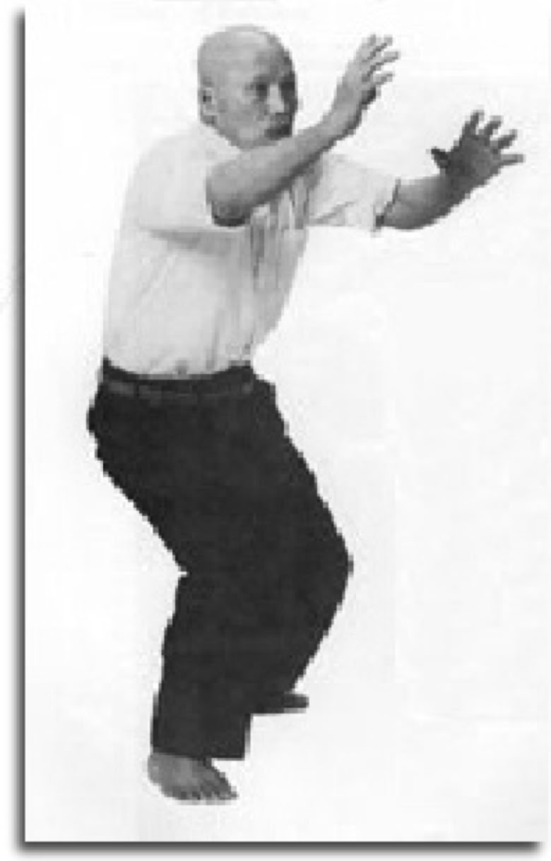 Kenichi Sawai showing Taikiken Kamai.