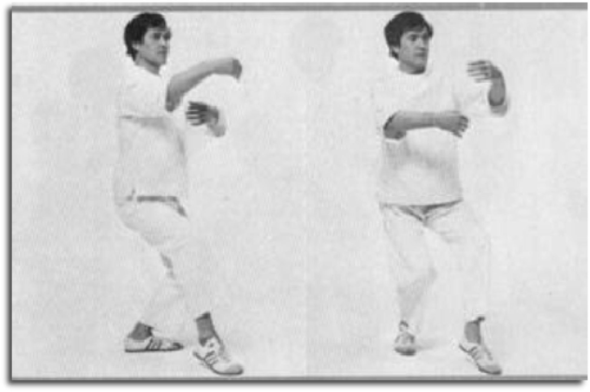 Akio Sawai demonstrating Taikiken Han zen.