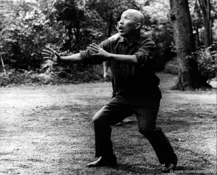 Sawai Sensei practicing Tanshu Meiji Jingu park Tokyo/
