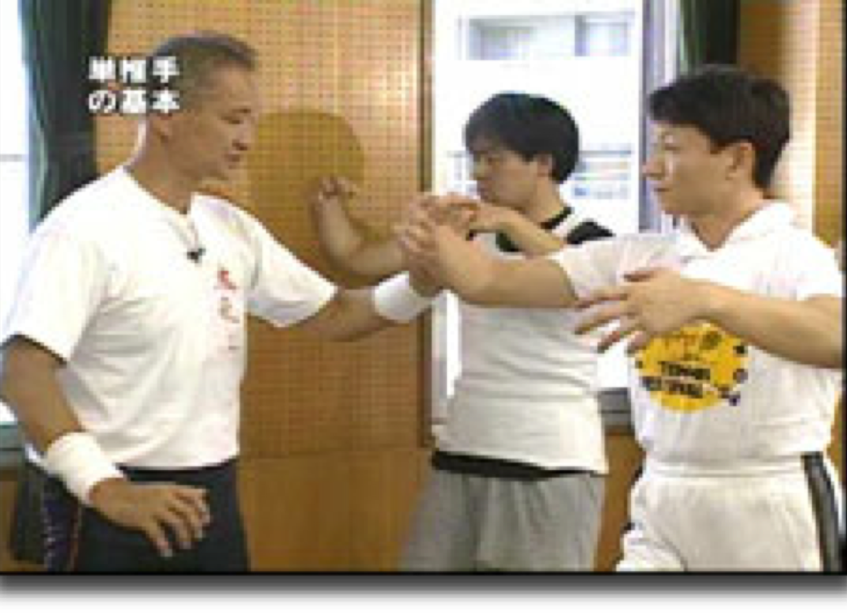 Satoshi Amano recently published an extended series of Taikikenpu instruction dvd&rsquo;s. 