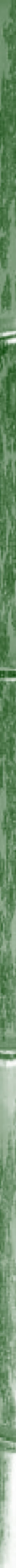 taikiken green bamboo side stripe