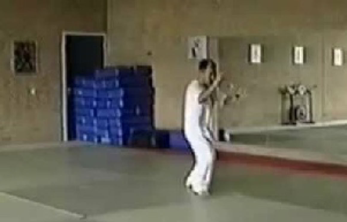 Taikiken Seminar 1994 Tanshu of sensei Sato Yoshimichi