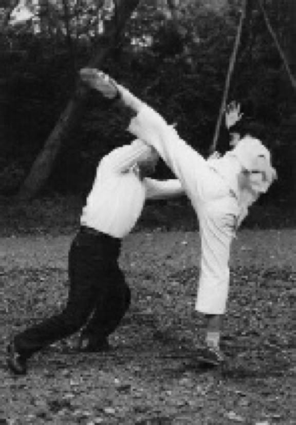 Taikiken elbow block against mawashi geri.