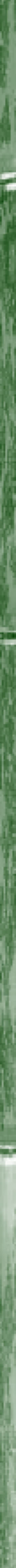 Taikiken green bamboo side stripe
