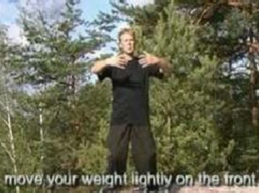 Video showing Taikiken basics by Ron Nansink sensei.